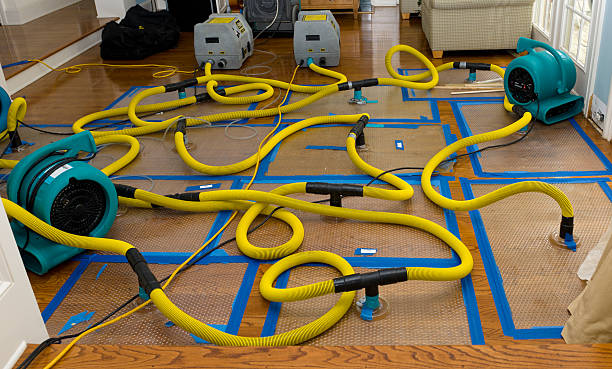 Professional Water Extraction technician working in Franklin Park, FL